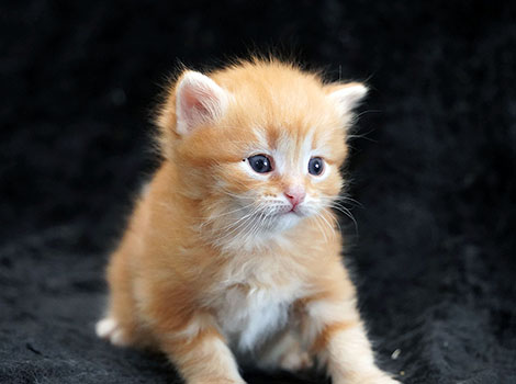 Olli am 16. März 2025